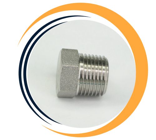 ANSI B16.11 316Ti Forged Plug In India